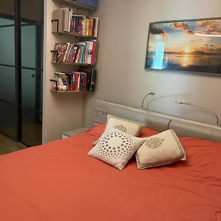 Appt Avec Jardin Et Clim Proche Arenes De Cimiez Apartment *