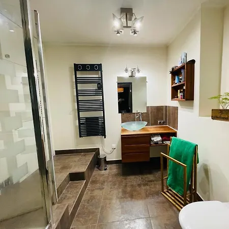 Apartment Appt Avec Jardin Et Clim Proche Arenes De Cimiez *