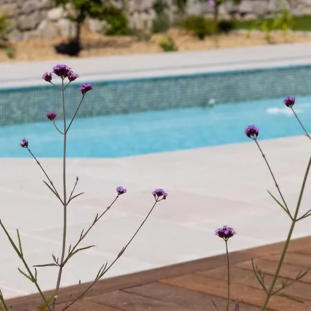 A True Paradise For Unforgettable Vacation - Pool And Sea View Villa Nice