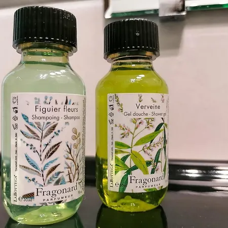 酒店 法兰西酒店 尼斯