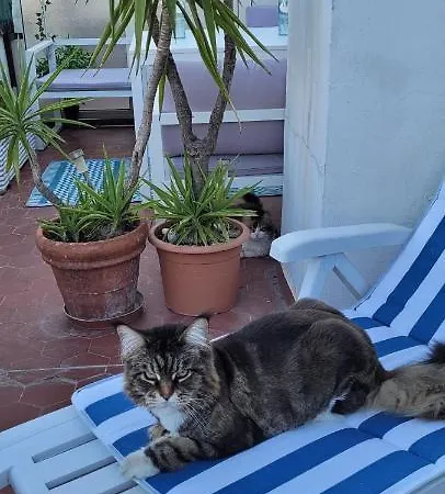 + Terrasse Privative Homestay