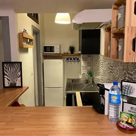 Apartment Typique Nicois En Plein Centre *
