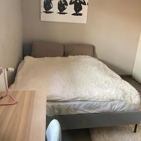 The Cocoon Apartment *