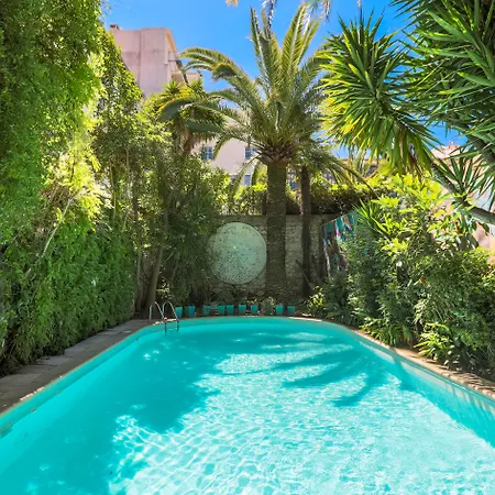 Le Windsor, Jungle Art Otel 4*