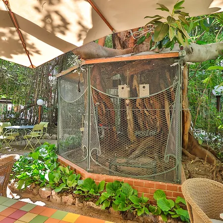 Le Windsor, Jungle Art Nice