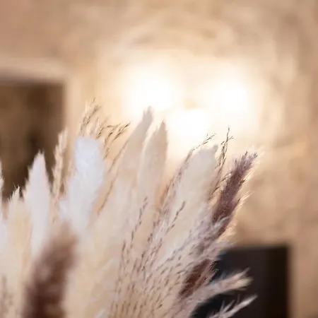 Fusion - Charme De L'ancien Et Confort Moderne - Vieux - 2 - Wifi - 5 Min Des Plages - 30 Min De Cannes Et Monaco Apartment