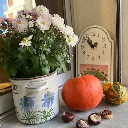 Beautiful With Privat Terrace Apartment Nizza