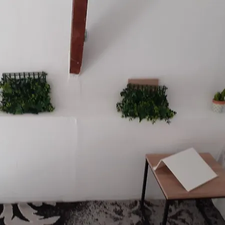 Studio Andy *