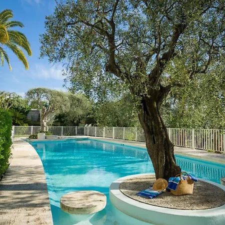 Les Oliviers: Serene Rooftop Retreat With Sea Views And Pool * Nice