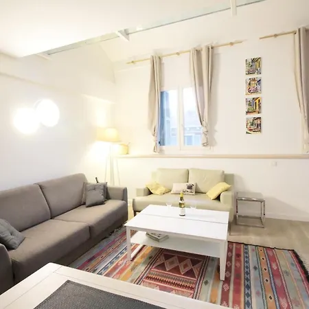 Duplex Lumineux Et Spacieux * Nice