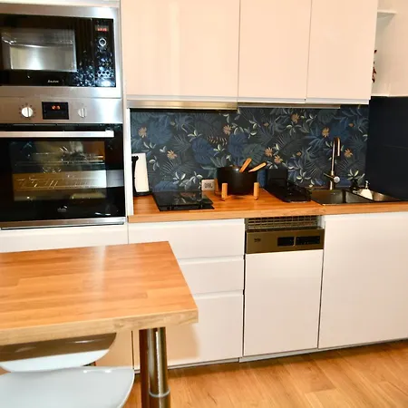 Premium Apartment Nice