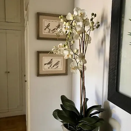 Apartment Magnifique 2 Pieces De 65m2 -quartier Des Musiciens Nice