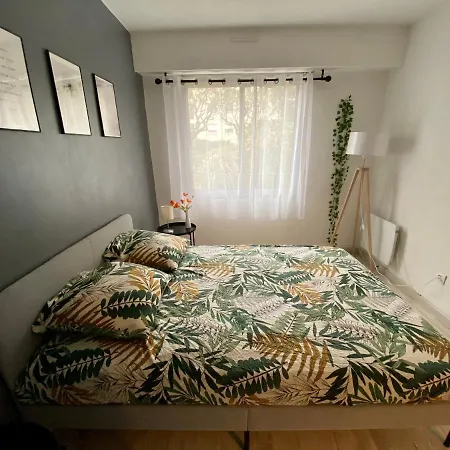 2 6 Couchages Au Coeur De Port Apartment
