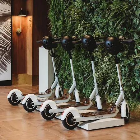 Le Meridien 4* ניס