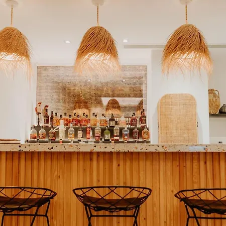 酒店 Palm Boutique 尼斯