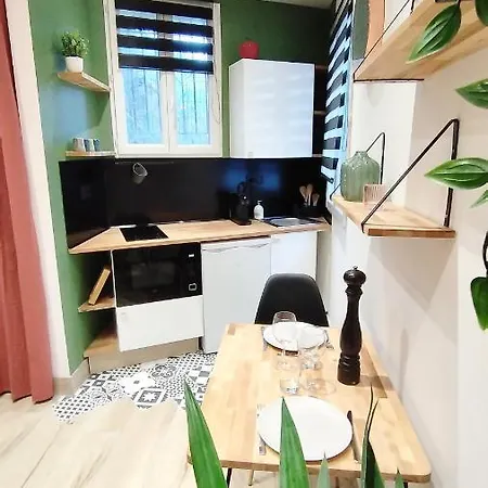 Apartment Studio De Charme Climatise Gare Riquier Nice