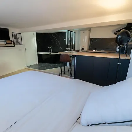 Vieux - Loft - Balneo * Nice