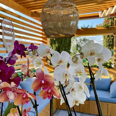 Escondida Bed & Breakfast Nizza