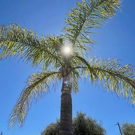 Villa Syagrus - Easy Nice