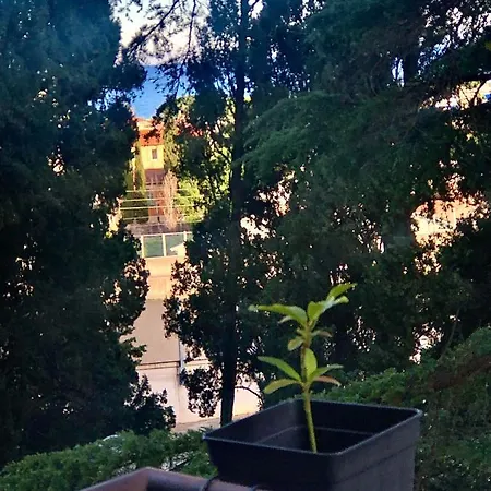 Appart Marguerite Appartamento Nizza