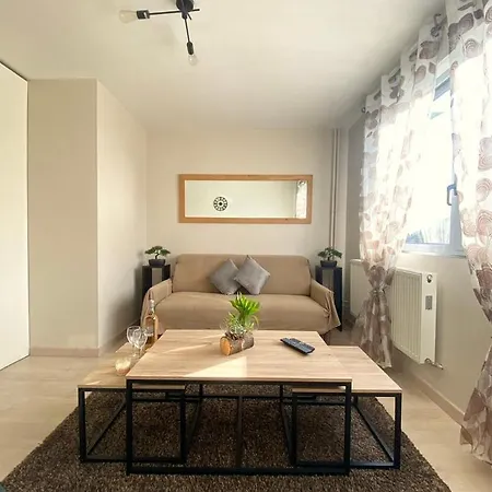 Nouveau ! Cosy 2 Pieces A 10 Min De La Promenade Des ! Homestay
