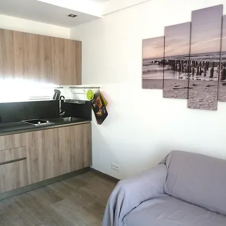 New 1 Bedroom Apt Place Garibaldi Apartment