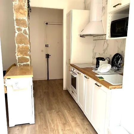 Apartment Hyper Center With Terrace Inclus 2 Stand Up Paddle Nice