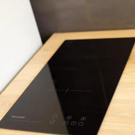 Chambre 2 Rene Cassinbalcon Wifi Mini-frigo Tv شقة نيس