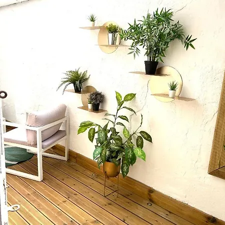 Apartment Hyper Center With Terrace Inclus 2 Stand Up Paddle Nice
