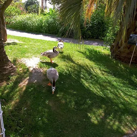 Parc Phoenix