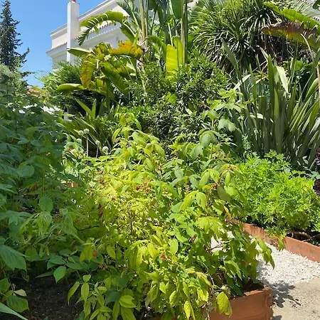 Bas Maison Mont-boron 3 Bedrooms *