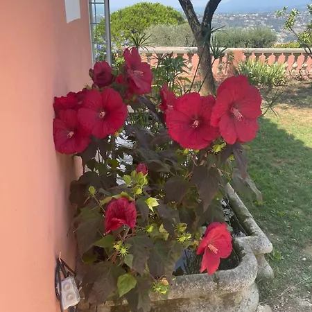 Frühstückspension D'hotes A L'ancre Marine De La Rose Nizza