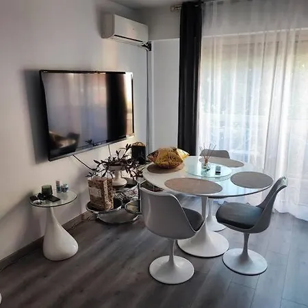 31 M² Apartment Nice