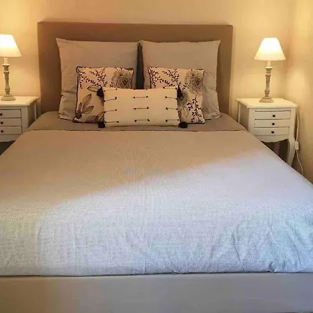 Charming Overlooking A Beautiful Garden Apartment Nizza