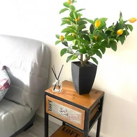 Apartment Bottero-joli Avec Terrasse 5 Mins De La Nice