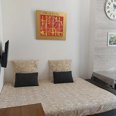 Hypercentre Jean Medecin Homestay