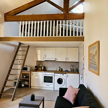 Le Virenque Apartment Nice