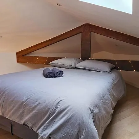 Le Virenque Apartment Nice