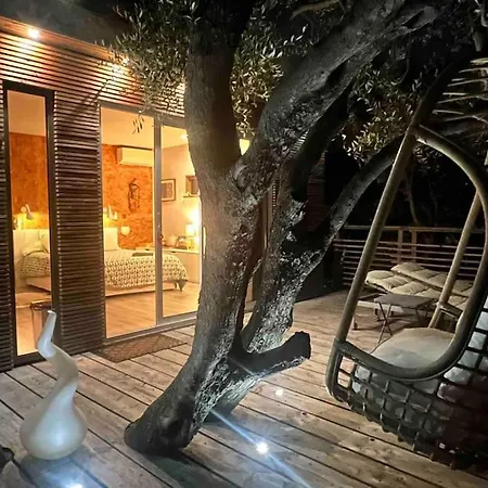 Appartement Vue Chic Dans L'olivier, Piscine Nice