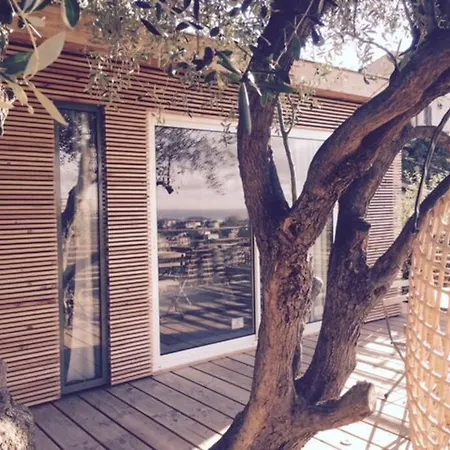Vue Chic Dans L'olivier, Piscine Appartement Nice
