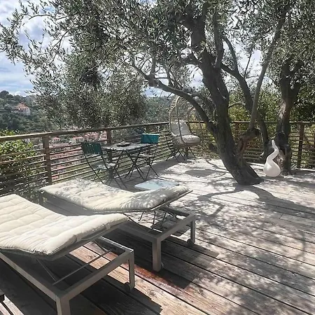 Appartement Vue Chic Dans L'olivier, Piscine Nice