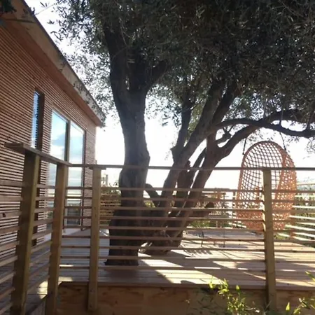 Vue Chic Dans L'olivier, Piscine Appartement Nice