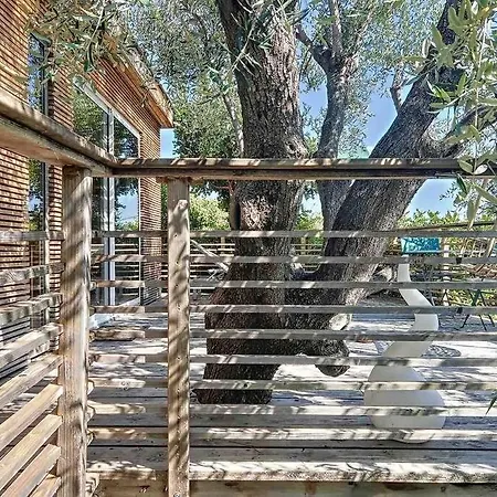 Vue Chic Dans L'olivier, Piscine