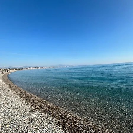 Apartment Reine - Nice