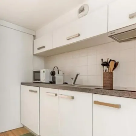 Magnifique Duplex Type Loft Apartment Nice