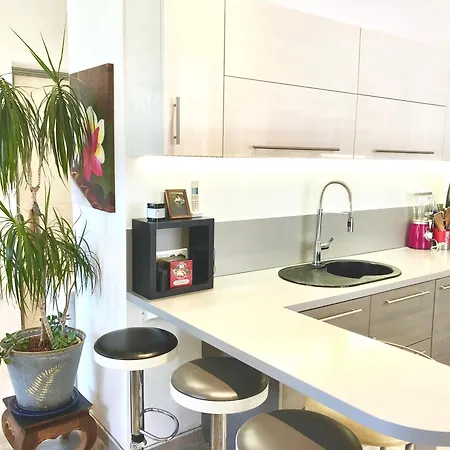 Apartment Dans Maison De Avec Jardin Nice