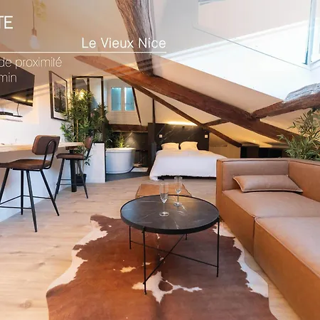Apartment Superbe Loft - Vieux - Balneo Nice