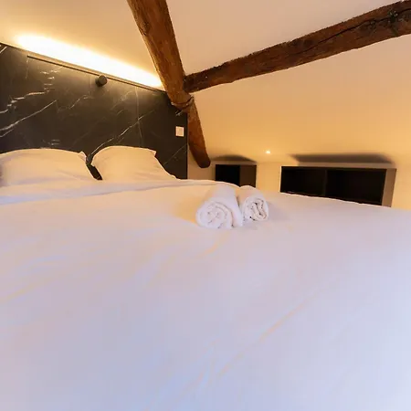 Superbe Loft - Vieux - Balneo Apartment Nice