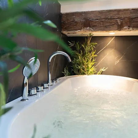 Apartment Superbe Loft - Vieux - Balneo