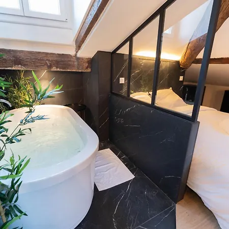 Apartment Superbe Loft - Vieux - Balneo
